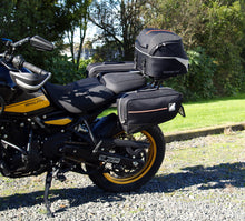 Carica immagine nel visualizzatore della Galleria, RE006B-01.JPG