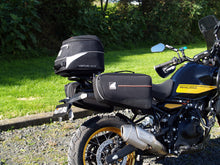 Carica immagine nel visualizzatore della Galleria, RE006B-02.JPG